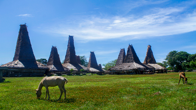 Eksplorasi Budaya dan Keindahan Kampung Tradisional Ratenggaro